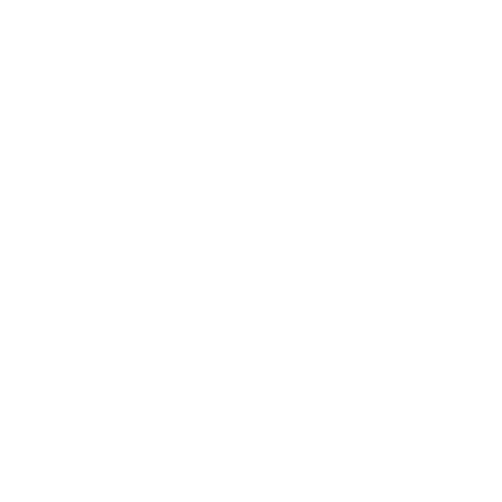 TAXI SEGURO
